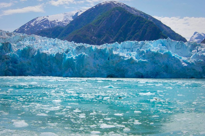 Tracy Arm 01 mnmov4